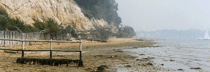 Brownsea Island - A haven for wildlife including red squirrels, peacocks and deer and is ideal for walks, picnics and for families to explore
