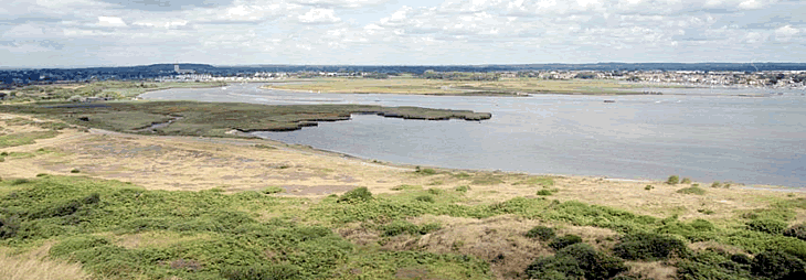 Christchurch Harbour