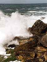 Portland Coast